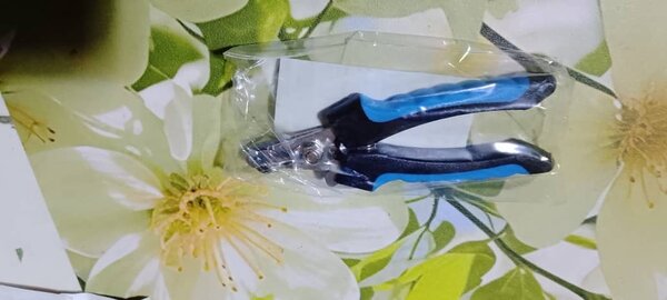 Pc oui ongles chien, chat