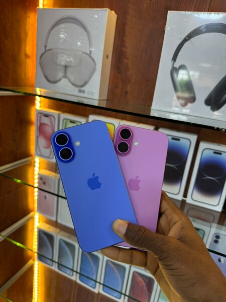 iPhone 14 couleurs vives