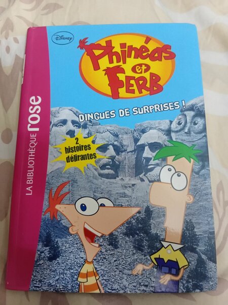 Livre Phinéas et Ferb Enfants