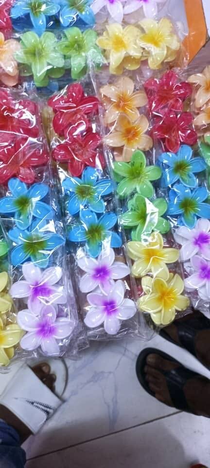 Pince à cheveux fleurie élégante