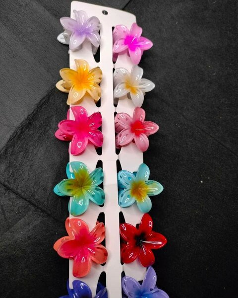 Pinces à Cheveux Fleurs Colorées