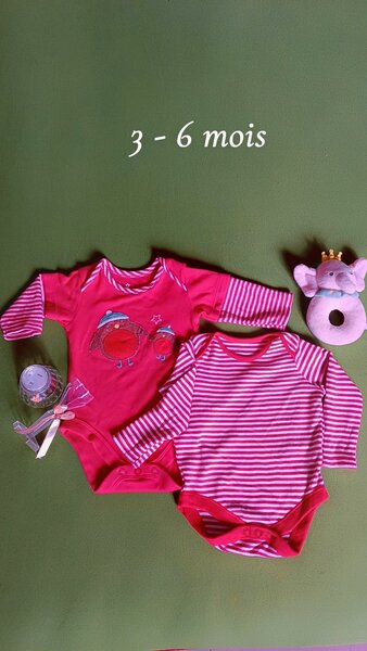 Duo de bodies pour bébé