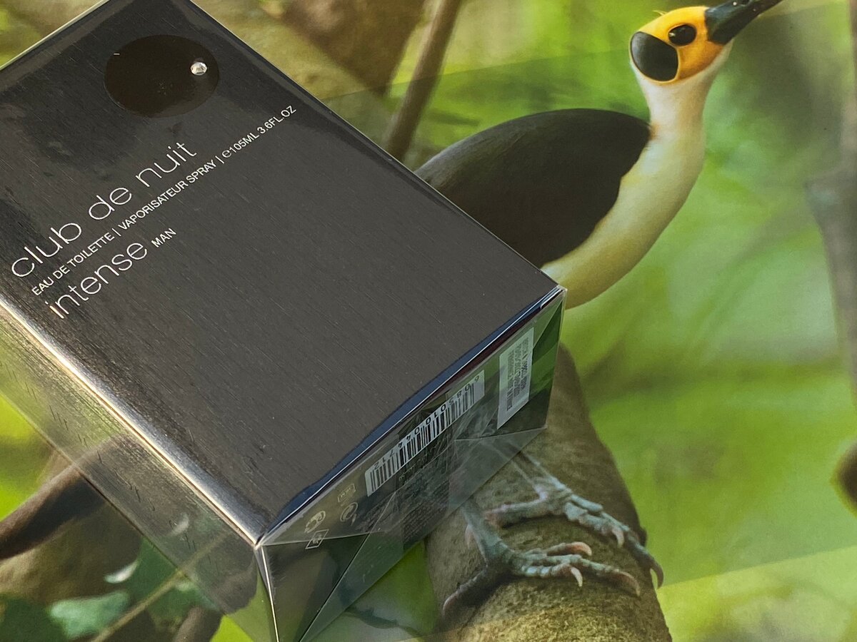 ARMAF CLUB DE NUIT INTENSE MAN