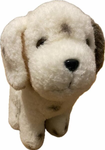Peluche chiot
