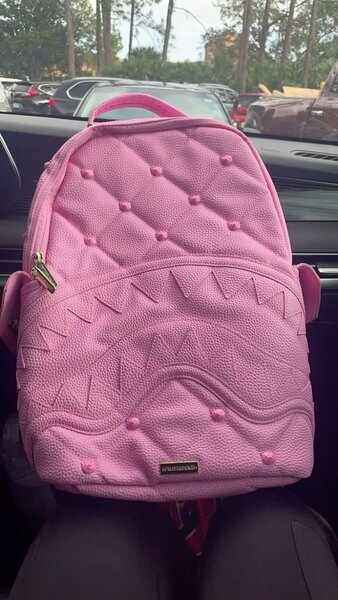 Ladies pink bag