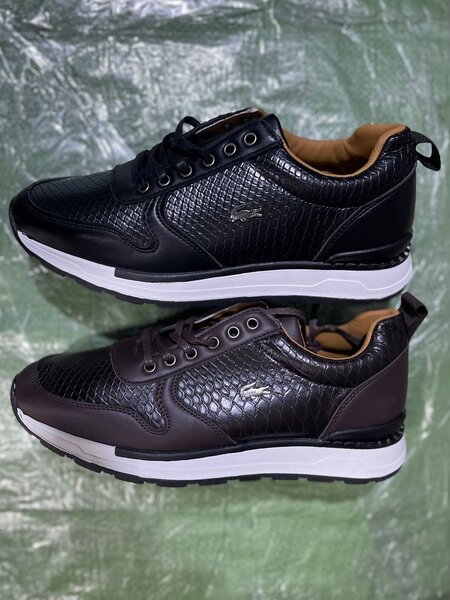 Baskets Homme Élégantes Cuir