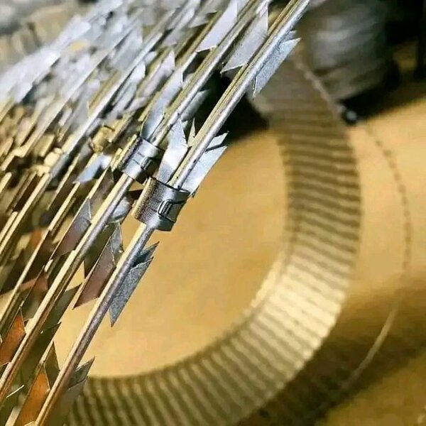 Razor Wire