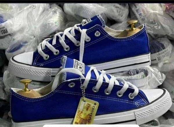 Baskets Converse Homme Bleu