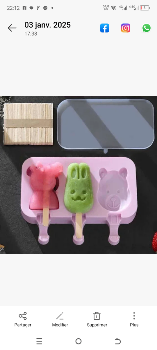 Moule à Glace Silicone Animaux