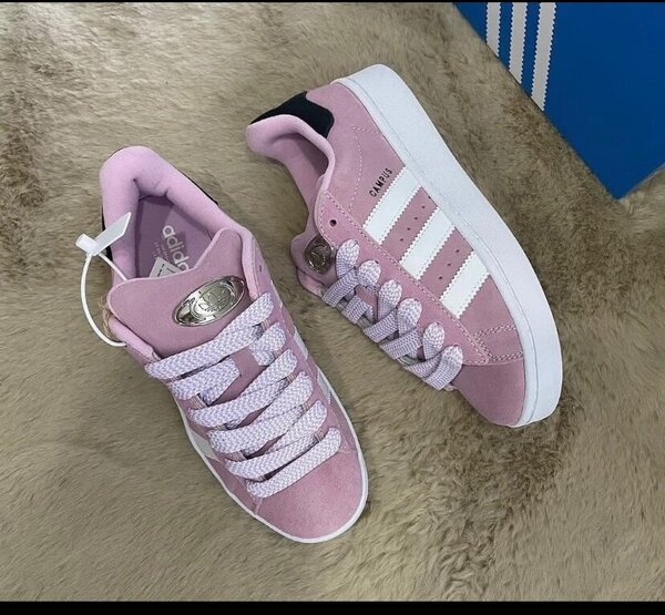 Adidas campus authentique