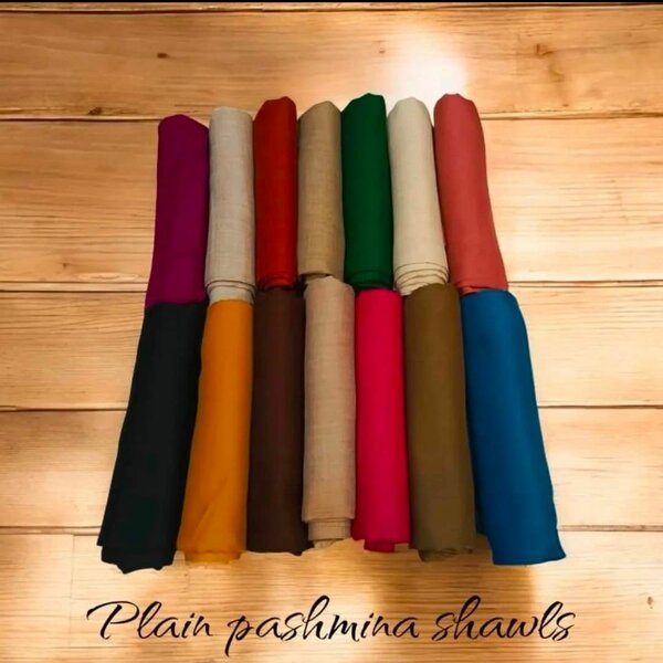 Ladies Pashmina Shawl