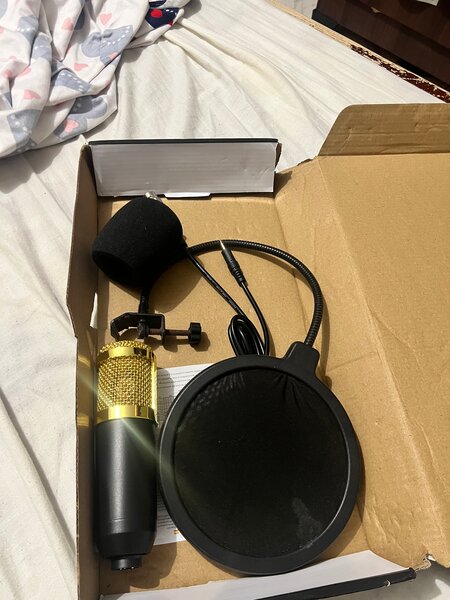 Microphone à Condensateur Pro