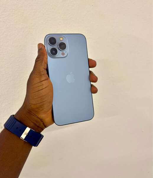 iPhone 13 Pro Max 256 Go Gris