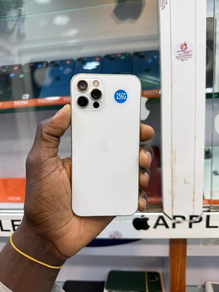 iPhone 12pro 256giga quasi neuf