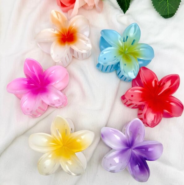 Pinces à cheveux fleurs colorées