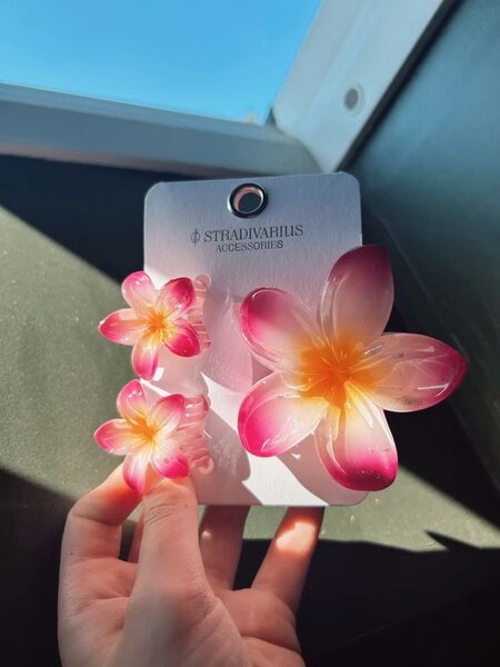 Clips à Cheveux Fleurs Colorées