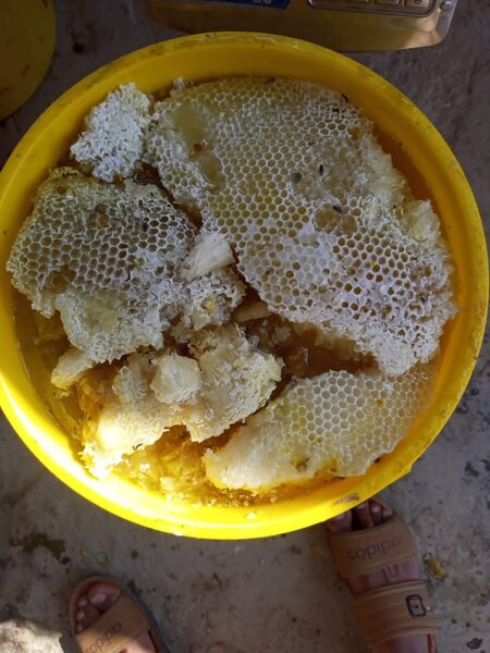 Organic Honey and dasi Ghee