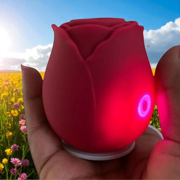 Sextoys Clito et Sein SN26