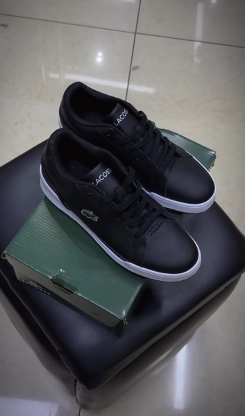 Кроссовки Lacoste 🐊