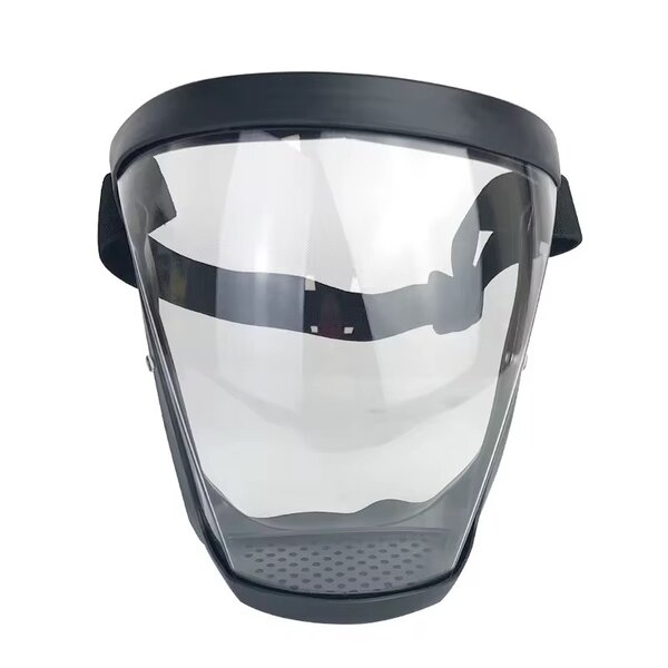 Masque de Protection Facial
