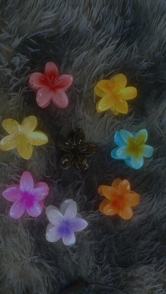 Pinces à cheveux fleurs colorées