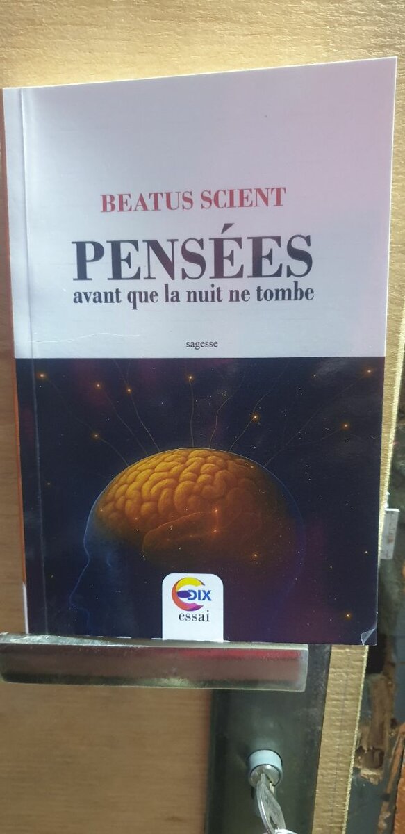 Pensées, avant que la nuit ne