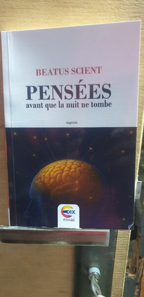 Pensées, avant que la nuit ne