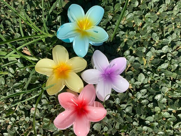 Flower Hair Clips