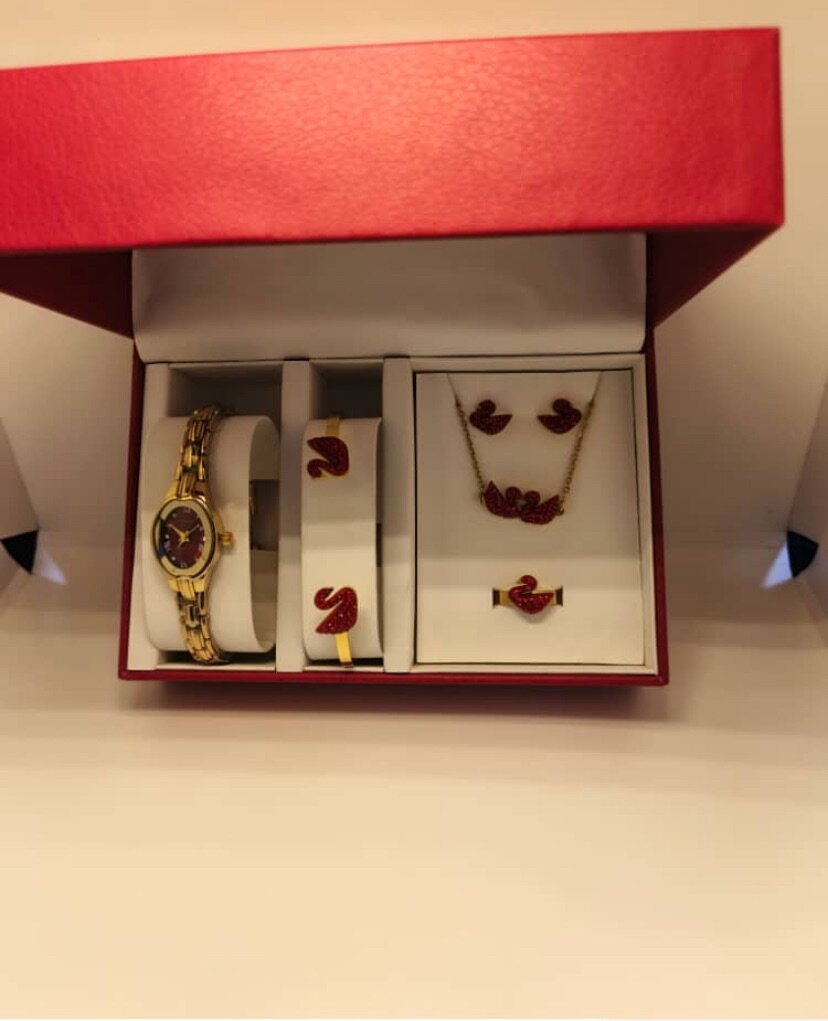 Parure Montre et Bijoux Élégante