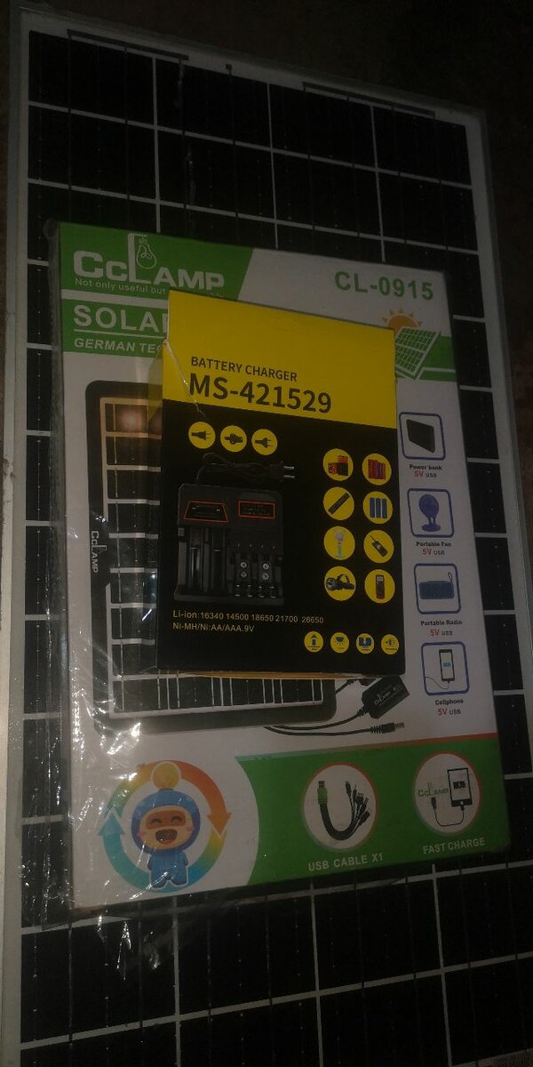 Lithium battery charger