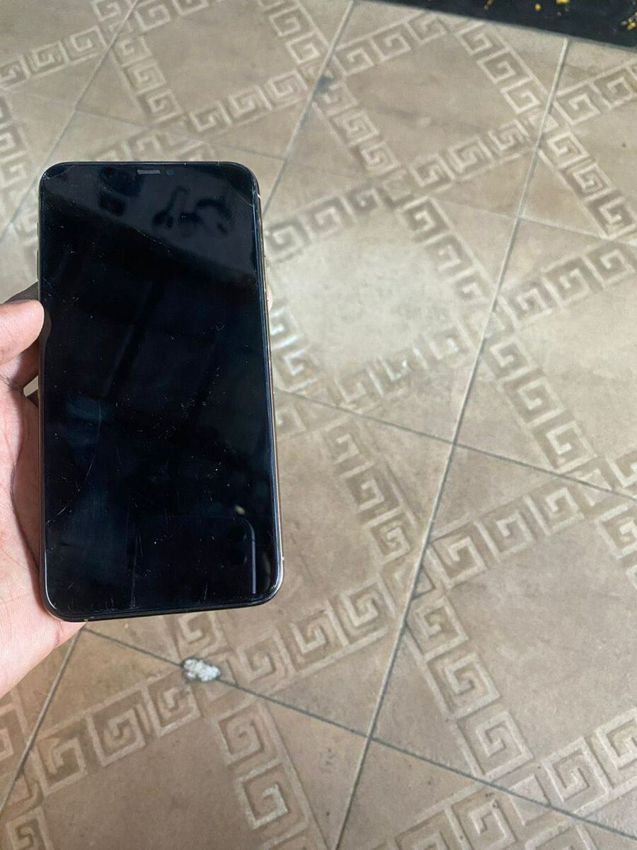 11 pro max Face ID désactivé