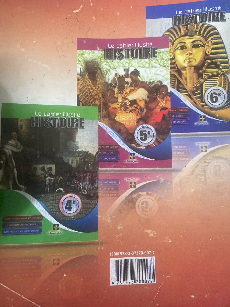 Cahier illustré d'Histoire 3e