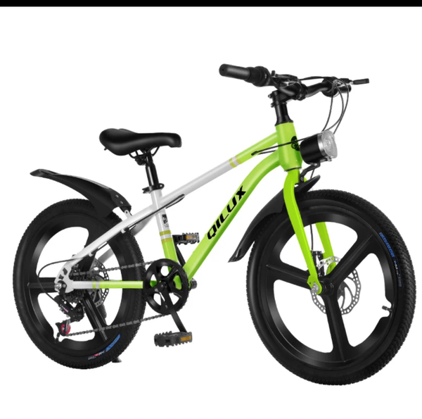 Vélo Enfant Tout-Terrain Vert