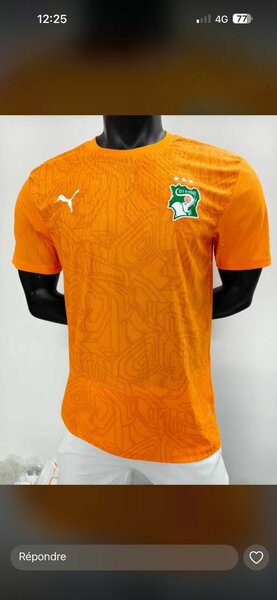 Maillot Côte d'Ivoire Puma