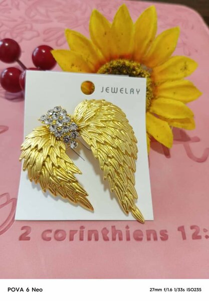 Magnifique Broche VVIP