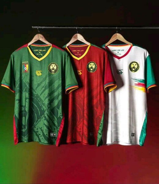 Maillots de football de l'équipe nationale