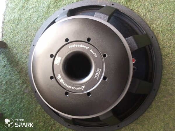 Titanic GLS naked speaker