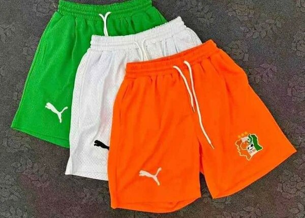 Shorts sportifs Puma