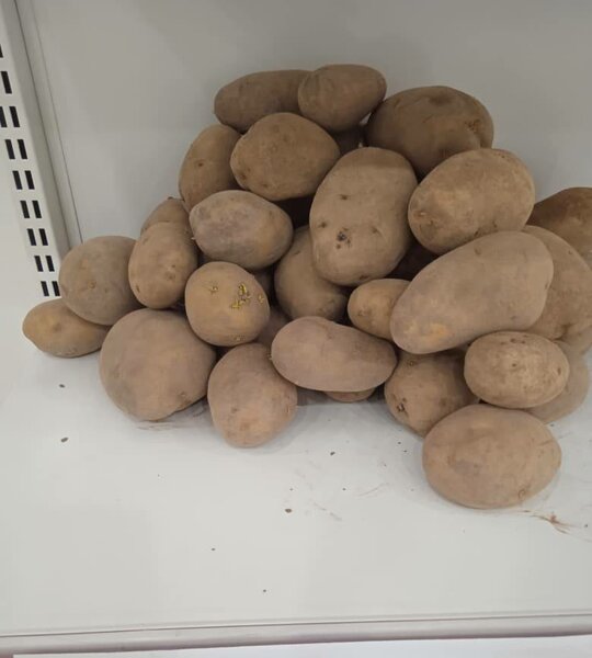 Pommes de terre  500 f / kg