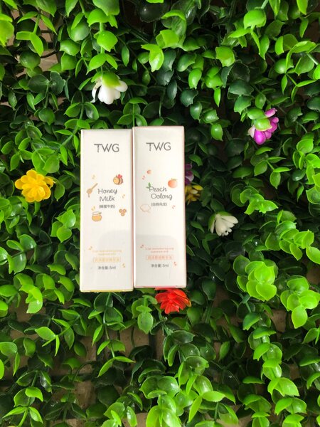 TWG Tea Set - Miel et Oolong