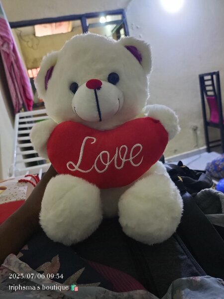 Nounours avec coeur