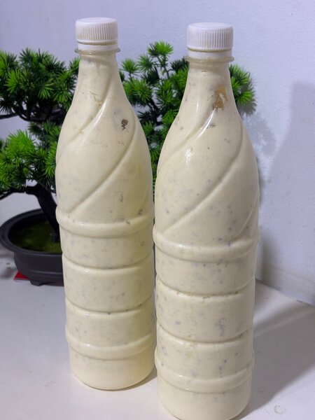 Lait fermenté naturel deguê