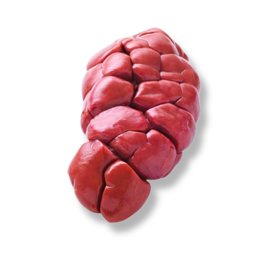 Rognons de veau frais