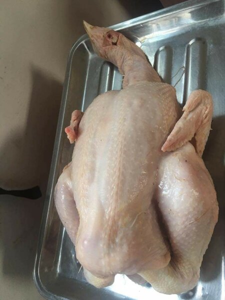 Poulet de chair local