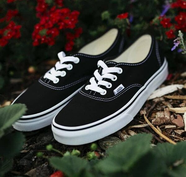Vans Classic