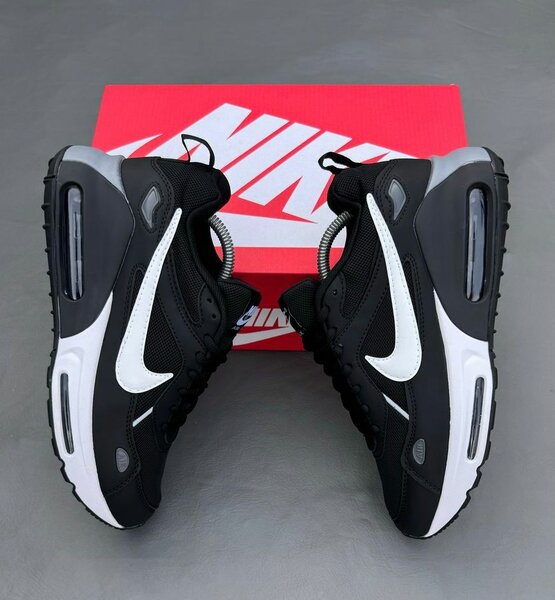 Nike Air Max Noir et Blanc