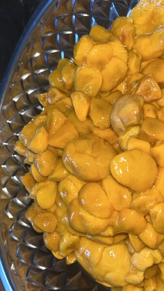 Délicieuse pulpe de fruit exotique