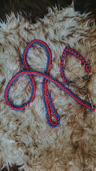 Laisse tressée pour chiens