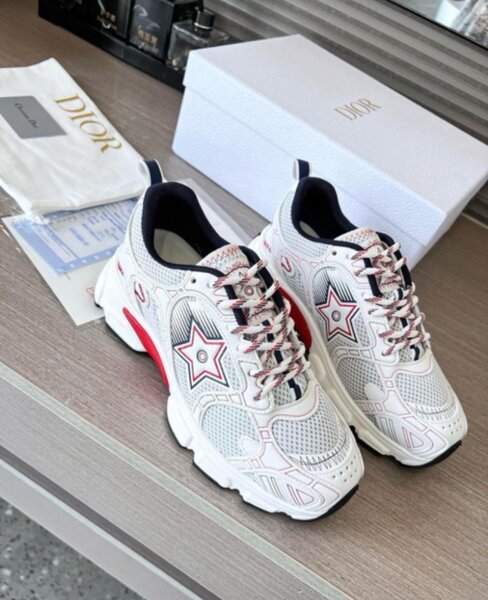Dior sneaker