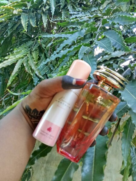 Parfum berries
